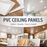 Everything You Need to Know About PVC Ceiling Panels